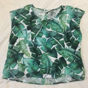 Marine layer palm leaf top